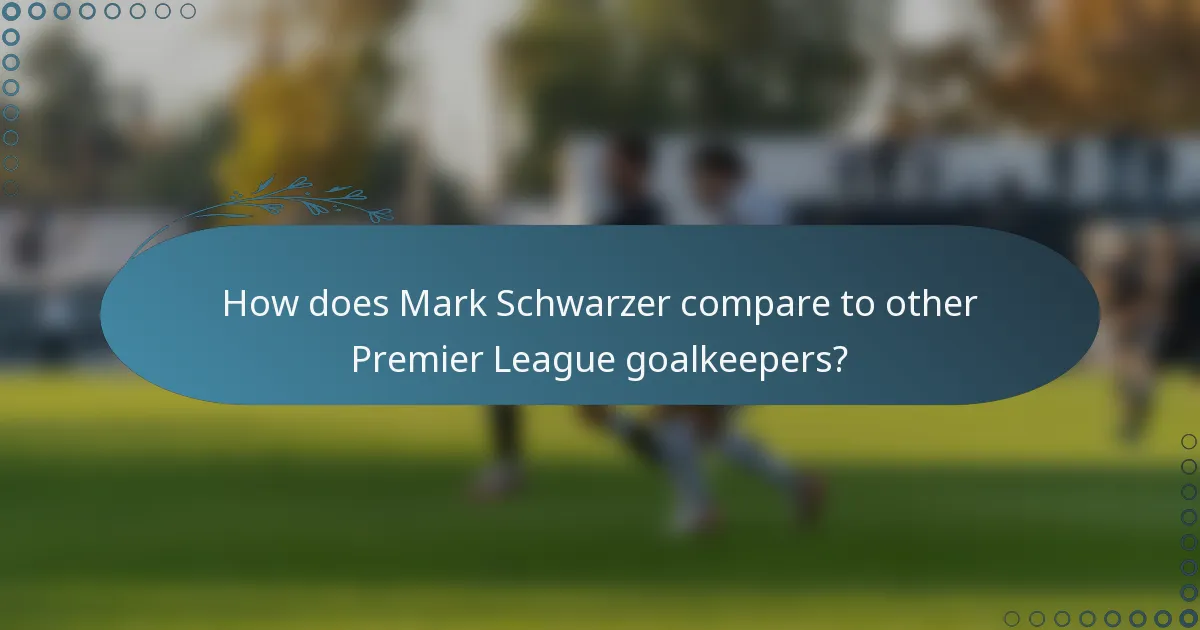 How does Mark Schwarzer compare to other Premier League goalkeepers?