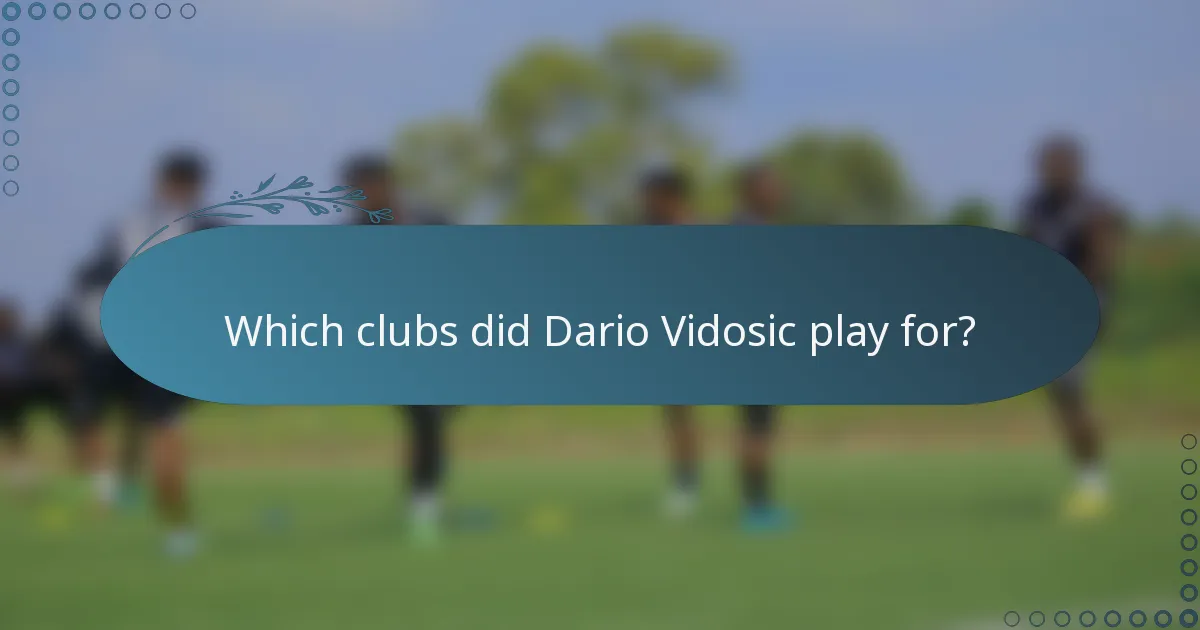 Which clubs did Dario Vidosic play for?